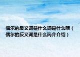 偶尔的反义词是什么词是什么呢（偶尔的反义词是什么简介介绍）