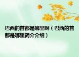 巴西的首都是哪里啊（巴西的首都是哪里简介介绍）