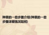种菜的一些步骤介绍(种菜的一些步骤详细情况如何)