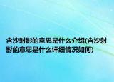 含沙射影的意思是什么介绍(含沙射影的意思是什么详细情况如何)