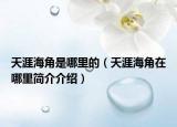 天涯海角是哪里的（天涯海角在哪里简介介绍）