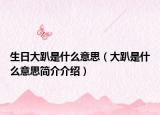 生日大趴是什么意思（大趴是什么意思简介介绍）