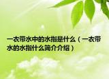 一衣带水中的水指是什么（一衣带水的水指什么简介介绍）