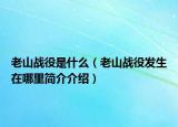 老山战役是什么（老山战役发生在哪里简介介绍）