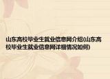 山东高校毕业生就业信息网介绍(山东高校毕业生就业信息网详细情况如何)