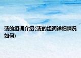 菠的组词介绍(菠的组词详细情况如何)