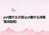pyt是什么介绍(pyt是什么详细情况如何)