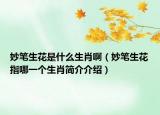 妙笔生花是什么生肖啊（妙笔生花指哪一个生肖简介介绍）