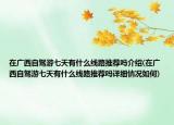 在广西自驾游七天有什么线路推荐吗介绍(在广西自驾游七天有什么线路推荐吗详细情况如何)