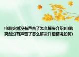 电脑突然没有声音了怎么解决介绍(电脑突然没有声音了怎么解决详细情况如何)