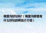 锦里沟好玩吗?（锦里沟那里有什么好玩的啊简介介绍）