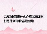 CULT电影是什么介绍(CULT电影是什么详细情况如何)