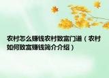 农村怎么赚钱农村致富门道（农村如何致富赚钱简介介绍）