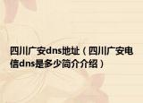 四川广安dns地址（四川广安电信dns是多少简介介绍）