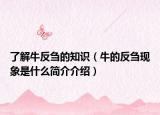 了解牛反刍的知识（牛的反刍现象是什么简介介绍）