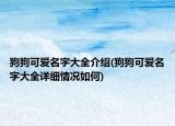 狗狗可爱名字大全介绍(狗狗可爱名字大全详细情况如何)