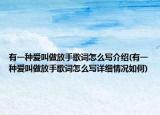 有一种爱叫做放手歌词怎么写介绍(有一种爱叫做放手歌词怎么写详细情况如何)
