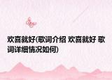 欢喜就好(歌词介绍 欢喜就好 歌词详细情况如何)