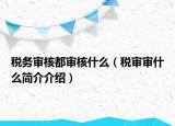 税务审核都审核什么（税审审什么简介介绍）