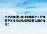李冰冰和孙红雷演的电视剧（孙红雷李冰冰演的电视剧是什么简介介绍）