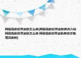 网易我的世界皮肤怎么换(网易我的世界皮肤修改介绍 网易我的世界皮肤怎么换 网易我的世界皮肤修改详细情况如何)