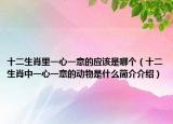 十二生肖里一心一意的应该是哪个（十二生肖中一心一意的动物是什么简介介绍）