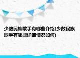 少数民族歌手有哪些介绍(少数民族歌手有哪些详细情况如何)