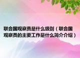 联合国观察员是什么级别（联合国观察员的主要工作是什么简介介绍）