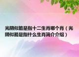 光阴似箭是指十二生肖哪个肖（光阴似箭是指什么生肖简介介绍）