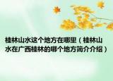 桂林山水这个地方在哪里（桂林山水在广西桂林的哪个地方简介介绍）