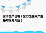 紫砂壶产自哪（紫砂壶的原产地是哪简介介绍）