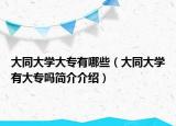 大同大学大专有哪些（大同大学有大专吗简介介绍）