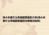汤小米是什么电视剧里面的介绍(汤小米是什么电视剧里面的详细情况如何)