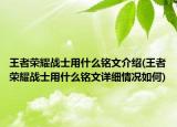 王者荣耀战士用什么铭文介绍(王者荣耀战士用什么铭文详细情况如何)
