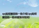 qq如何撤回拍一拍介绍(qq如何撤回拍一拍详细情况如何)