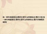 有一种车叫蓝莲花(请问它是什么样的标志 图片介绍 有一种车叫蓝莲花 请问它是什么样的标志 图片详细情况如何)