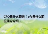 CFO是什么职务（cfo是什么职位简介介绍）