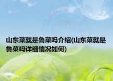 山东菜就是鲁菜吗介绍(山东菜就是鲁菜吗详细情况如何)