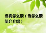 刍狗怎么读（刍怎么读简介介绍）
