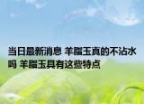 当日最新消息 羊脂玉真的不沾水吗 羊脂玉具有这些特点
