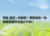 有匪 海天一色秘密（有匪海天一色的秘密是什么简介介绍）