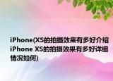 iPhone(XS的拍摄效果有多好介绍 iPhone XS的拍摄效果有多好详细情况如何)
