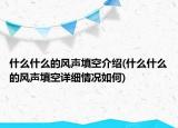 什么什么的风声填空介绍(什么什么的风声填空详细情况如何)