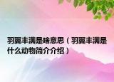 羽翼丰满是啥意思（羽翼丰满是什么动物简介介绍）