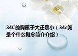 34C的胸属于大还是小（34c胸是个什么概念简介介绍）
