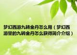梦幻西游九转金丹怎么用（梦幻西游里的九转金丹怎么获得简介介绍）