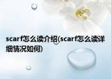 scarf怎么读介绍(scarf怎么读详细情况如何)