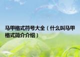 马甲格式符号大全（什么叫马甲格式简介介绍）