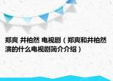 郑爽 井柏然 电视剧（郑爽和井柏然演的什么电视剧简介介绍）