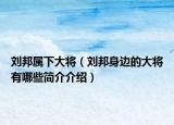 刘邦属下大将（刘邦身边的大将有哪些简介介绍）
